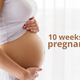 10th Weeks Pregnant